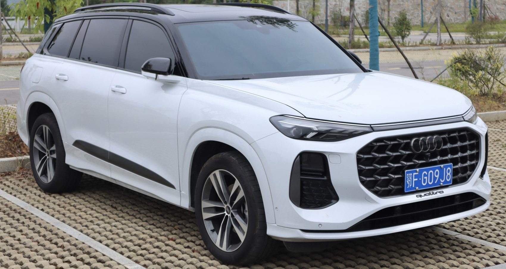 Audi Q6 specs, engine options and consumption