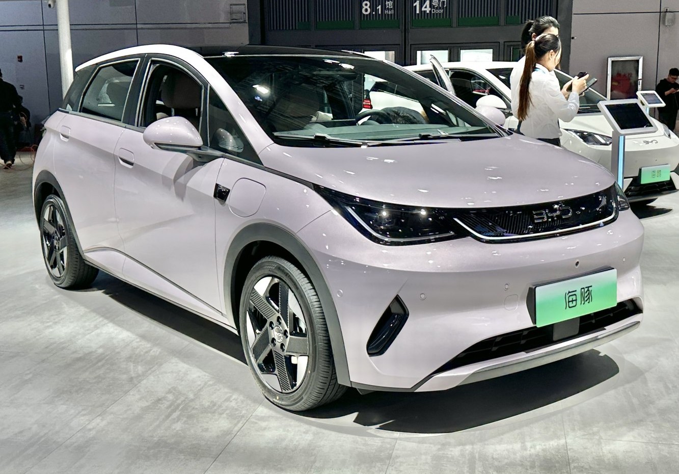 Byd Dolphin 60.48 kWh (204 Hp) Electric (2025 -) Motor und Technische Daten