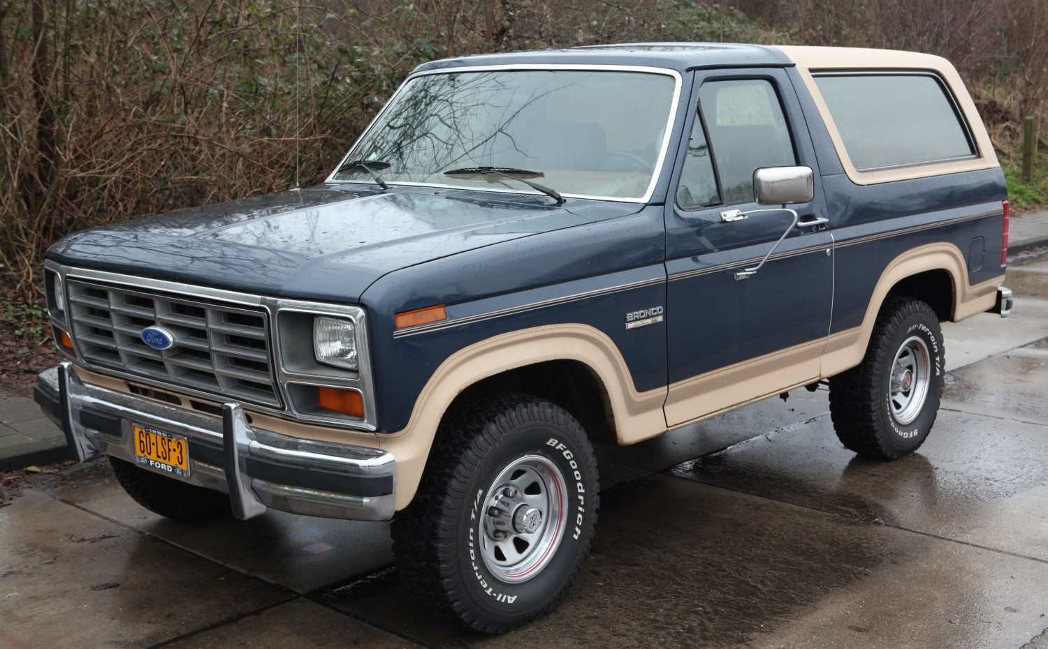Ford Bronco 4.2 V8 (119 Hp) AWD Automatic (1980 - 1986) engine and specifications