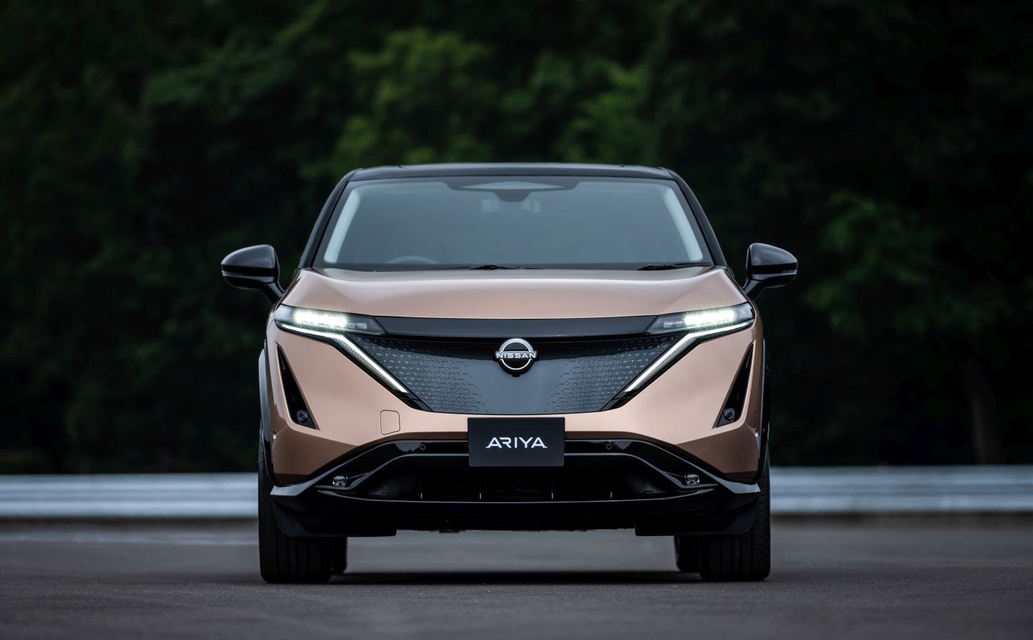 Nissan Ariya 66 kWh (340 Hp) e-4ORCE