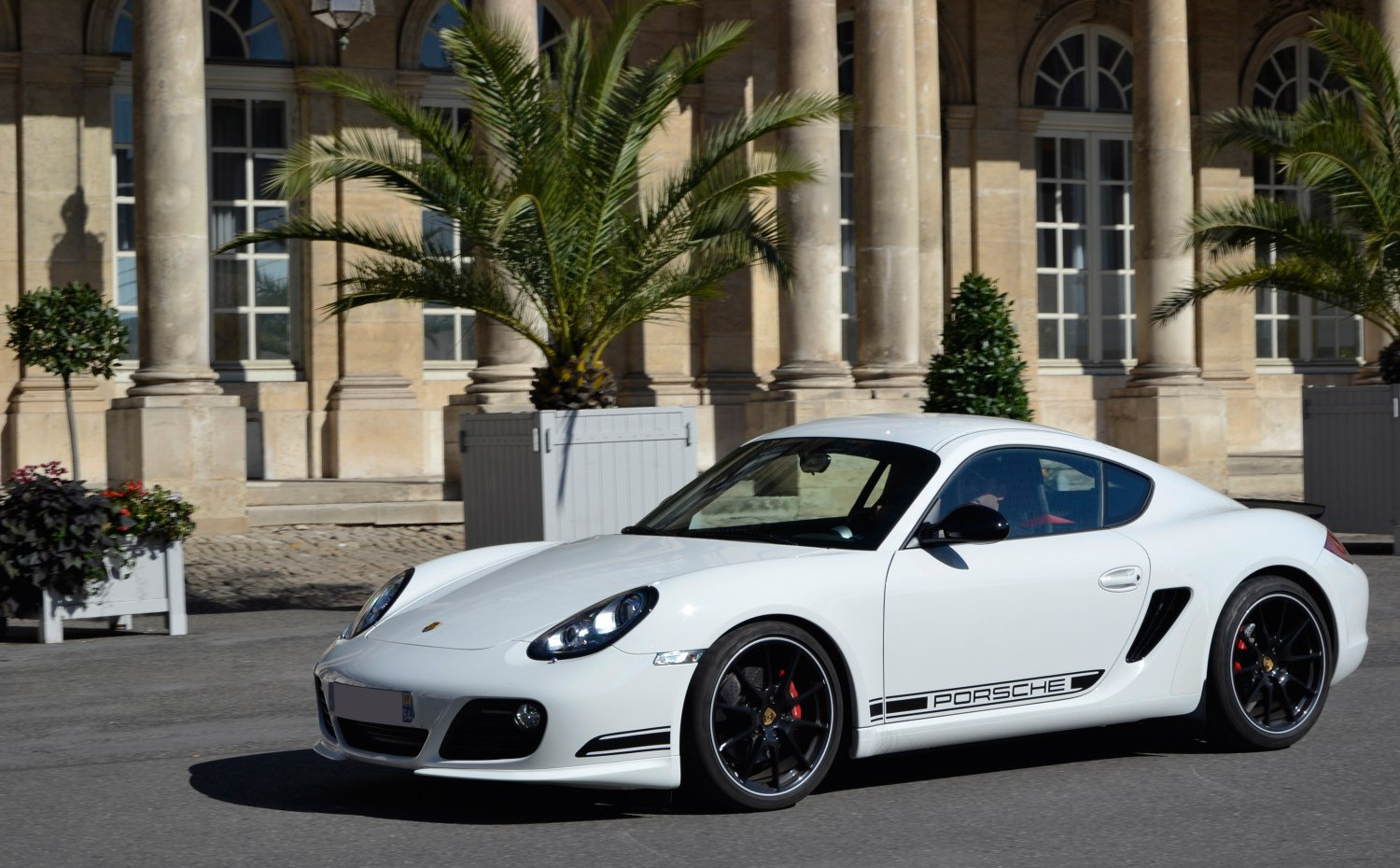 Porsche Cayman R 3.4 (330 Hp) (2011 - 2012) motor ve teknik özellikleri